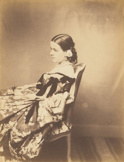 Portrait of a Woman Seated in Profile by Paul De Gaillard